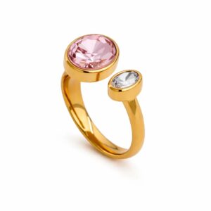 Duo stone stainless ring