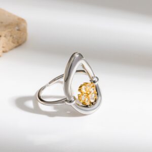 Stainless steel two tone ring